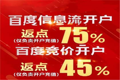 SEM推广代运营案例：优化策略